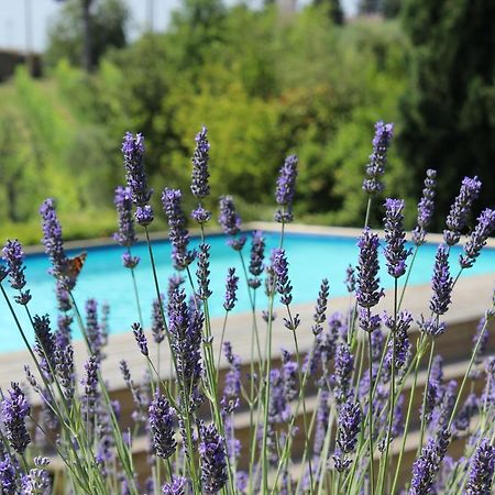 Villa Privata Per Famiglie O Amici Barberino Val d'Elsa Ngoại thất bức ảnh