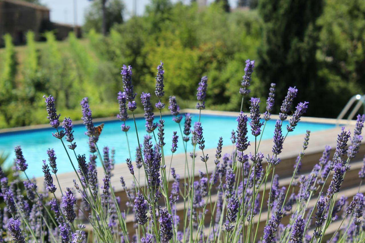 Villa Privata Per Famiglie O Amici Barberino Val d'Elsa Ngoại thất bức ảnh